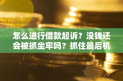 北京怎么进行借款起诉？没钱还会被抓坐牢吗？抓住最后机会！