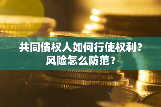 北京共同债权人如何行使权利？风险怎么防范？