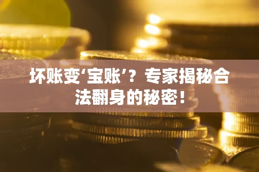 北京坏账变‘宝账’？专家揭秘合法翻身的秘密！