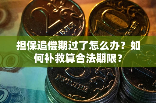 北京担保追偿期过了怎么办？如何补救算合法期限？