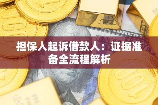 北京担保人起诉借款人：证据准备全流程解析
