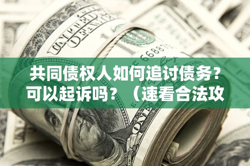 北京共同债权人如何追讨债务？可以起诉吗？（速看合法攻略）